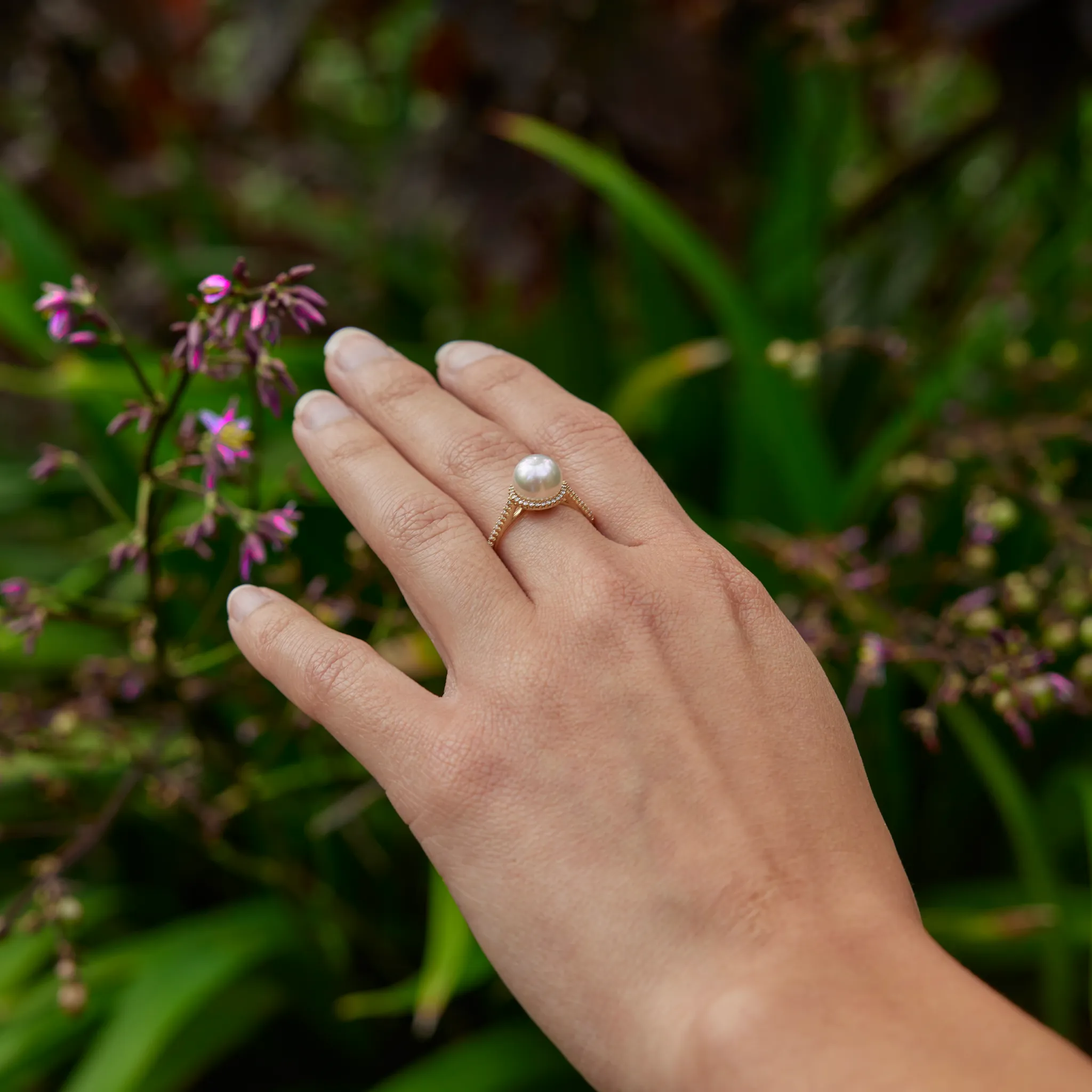 Akoya Pearl Ring in Gold with Diamonds - 8-8.5mm