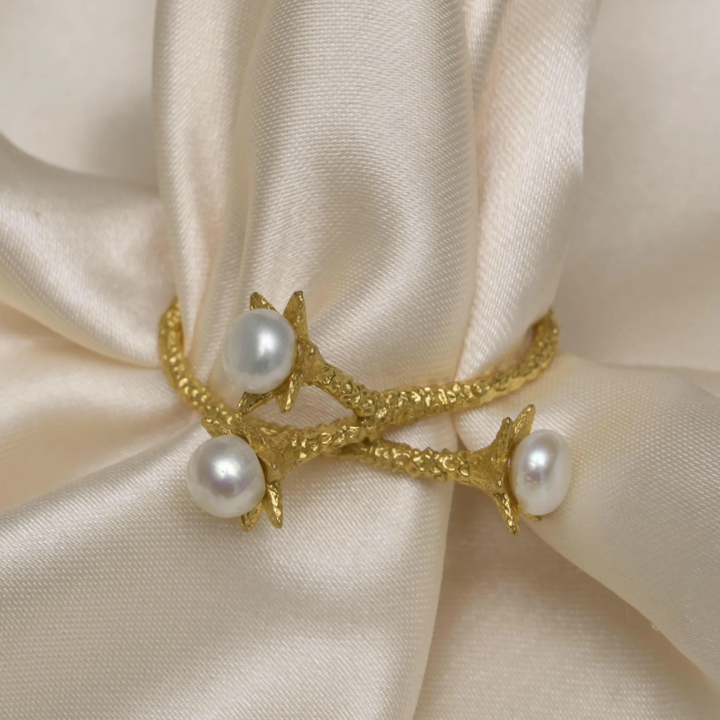 Ambrosia Napkin Ring Set