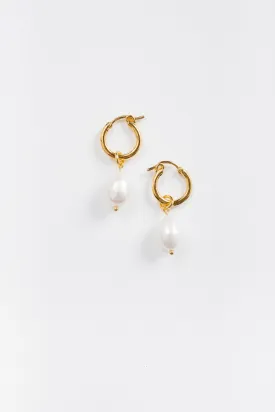 Cove Drop Pearl Hoops