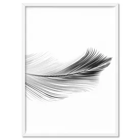 Feather Black & White II - Art Print