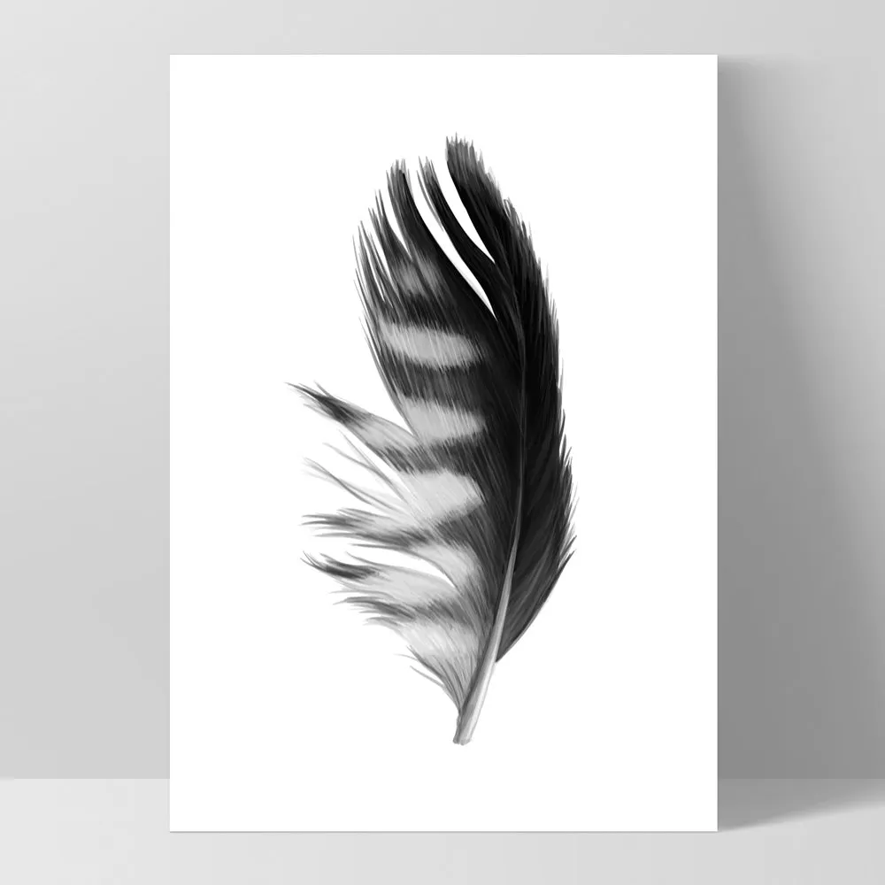 Feather Black & White III - Art Print