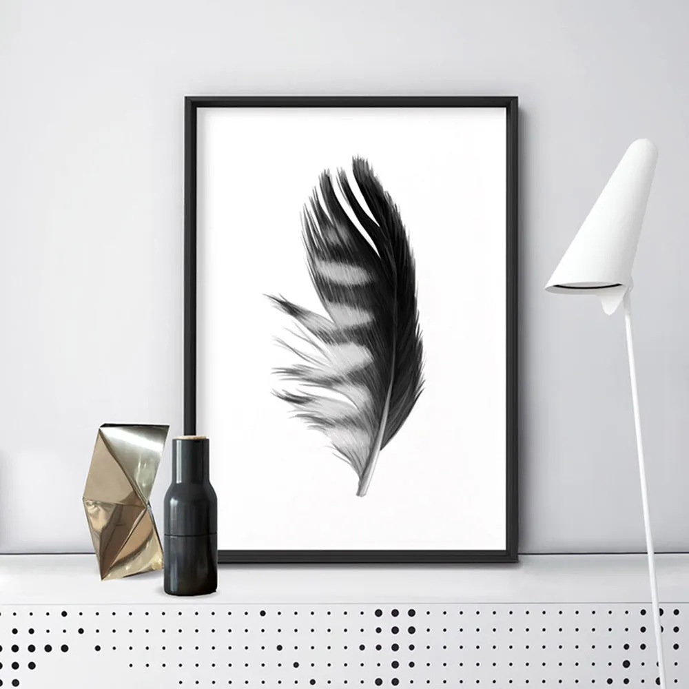 Feather Black & White III - Art Print