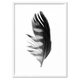 Feather Black & White III - Art Print