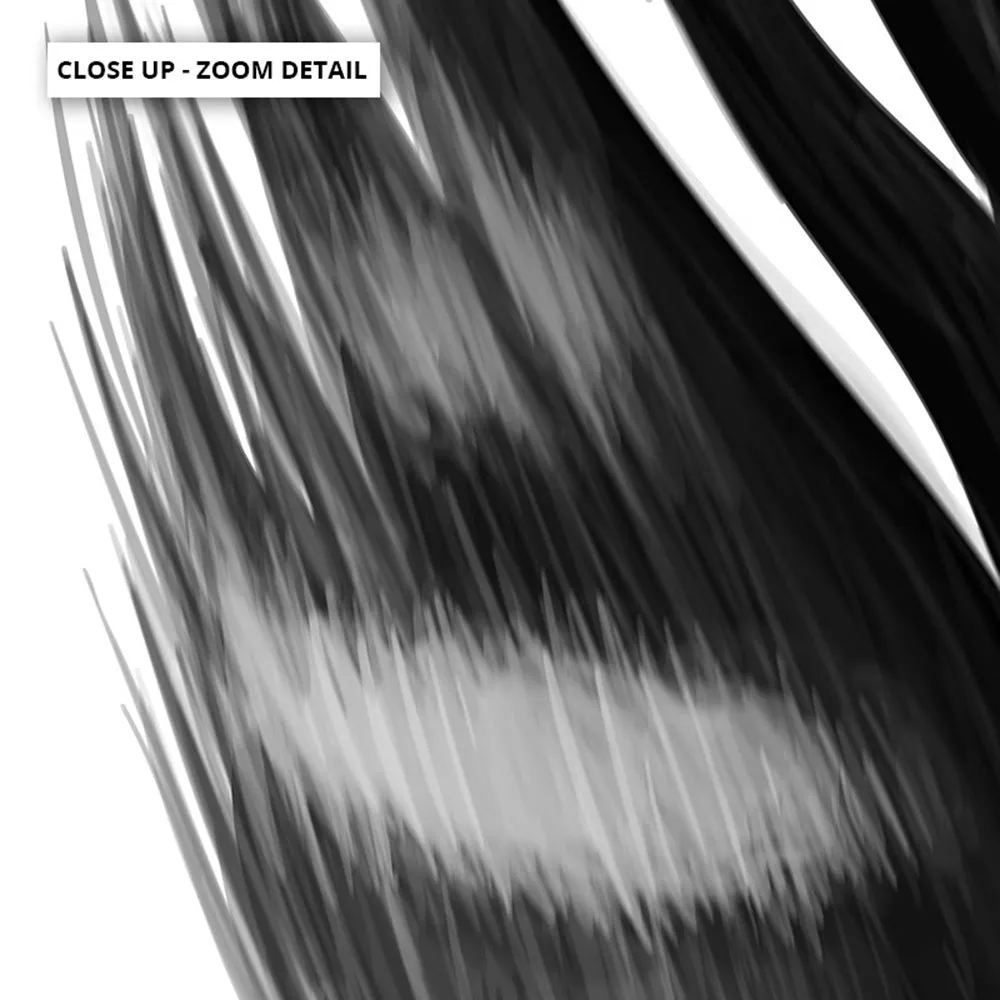 Feather Black & White III - Art Print