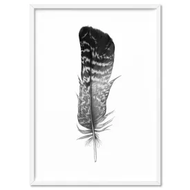 Feather Black & White V- Art Print