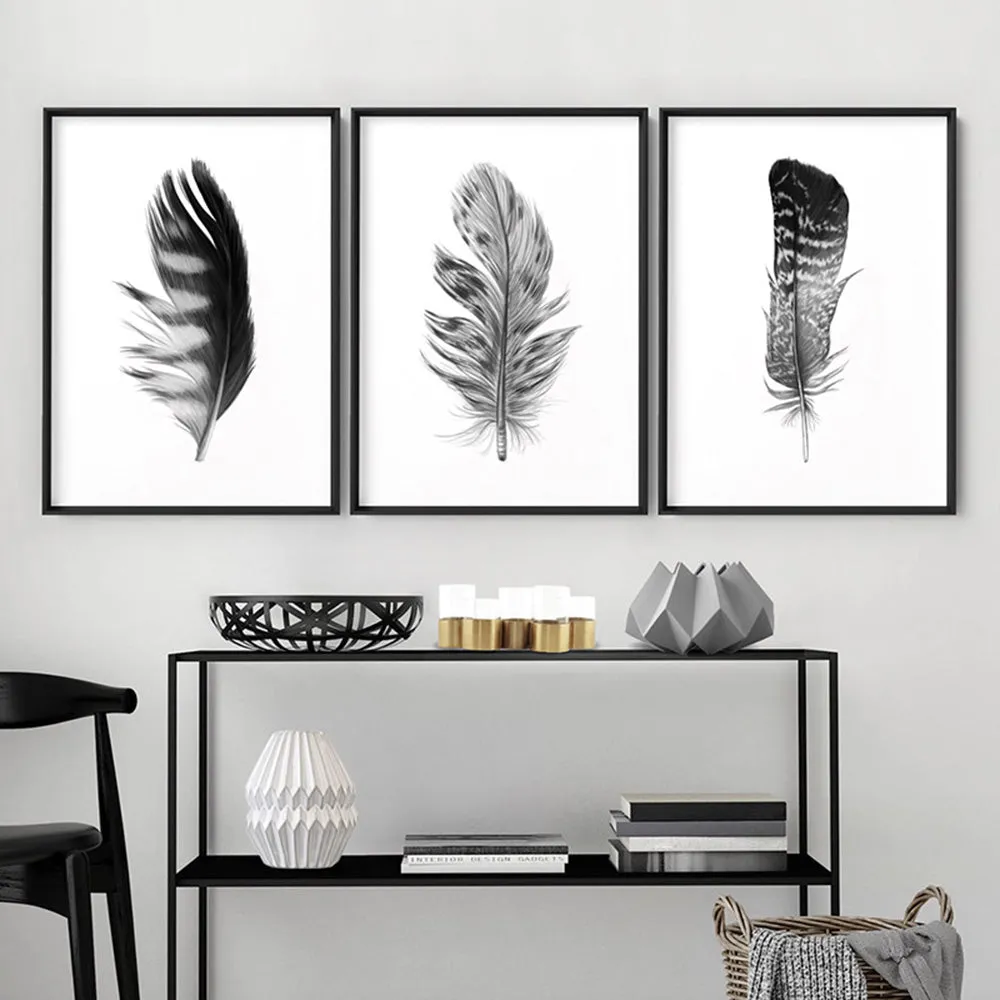 Feather Black & White V- Art Print