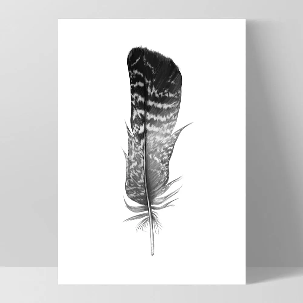 Feather Black & White V- Art Print