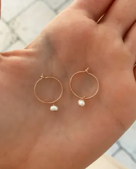 Freshwater Pearl Hoop Earrings  - 14k Rose Gold Fill