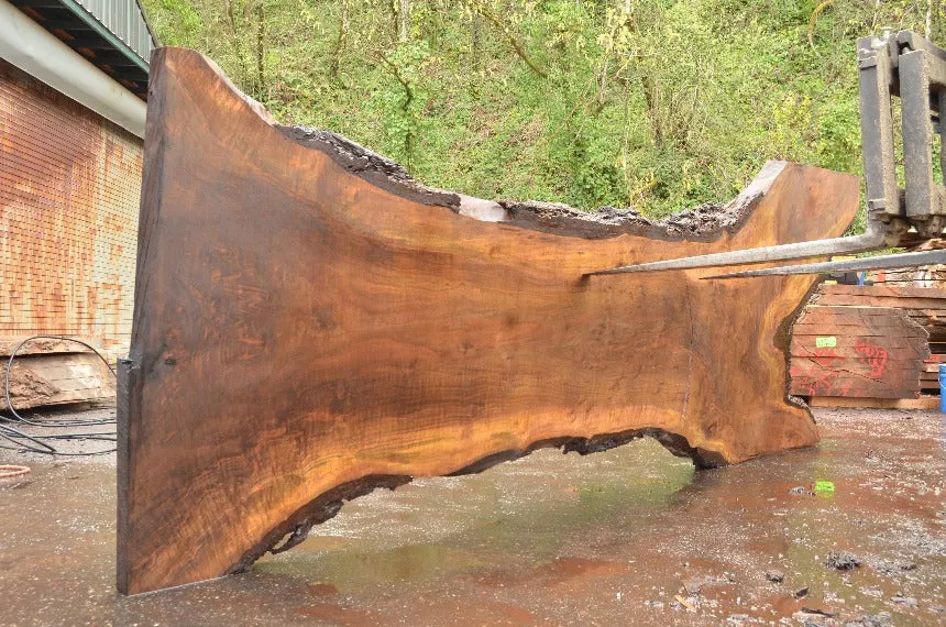 Oregon Black Walnut Slab 040822-05